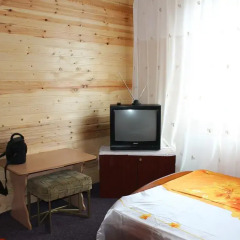 Mini-hotel Ekonomnaya Derevnia Стандартный номер разные типы кроватей фото 3