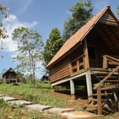 Отель Nature Lodge 2* Бунгало с различными типами кроватей фото 13
