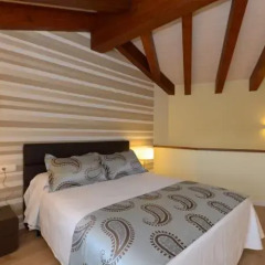 Отель Apartamentos El Palacete de Ainsa комната для гостей фото 3