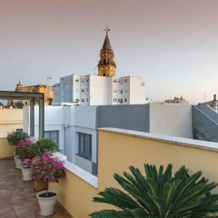 Отель Sercotel Asta Regia Jerez Испания, Херес-де-ла-Фронтера - 2 отзыва об отеле, цены и фото номеров - забронировать отель Sercotel Asta Regia Jerez онлайн балкон