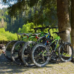 Гостиница Tsarynka Holiday Park Украина, Розгирче - отзывы, цены и фото номеров - забронировать гостиницу Tsarynka Holiday Park онлайн спортивное сооружение