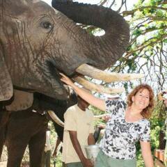 Отель Addo Elephant Back Safaris and Lodge Южная Африка, Аддо - отзывы, цены и фото номеров - забронировать отель Addo Elephant Back Safaris and Lodge онлайн детские мероприятия фото 2