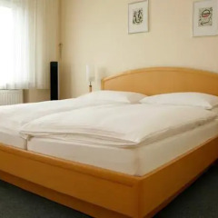 Hotel Riede комната для гостей