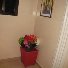 Jabali Apartments in Kololi, Gambia from 65$, photos, reviews - zenhotels.com hotel interior photo 2