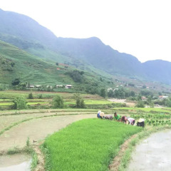 Отель Golden Rice Garden Sapa Шапа фото 3