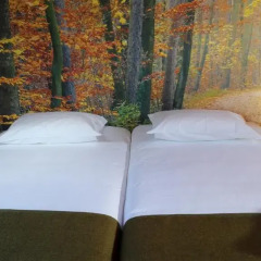 Stone Obidos Hostel комната для гостей фото 4