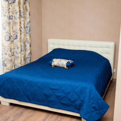 Гостиница Aristokrat Hotel в Красноярске отзывы, цены и фото номеров - забронировать гостиницу Aristokrat Hotel онлайн Красноярск комната для гостей фото 4