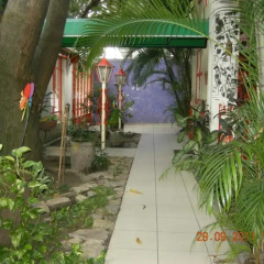 Отель Tamarindo Hostel Гондурас, Сан-Педро-Сула - отзывы, цены и фото номеров - забронировать отель Tamarindo Hostel онлайн