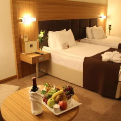 Surmeli Ankara Hotel 5* Стандартный номер разные типы кроватей фото 8