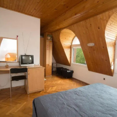 Отель Guest House Spiro near Botanical Garden удобства в номере