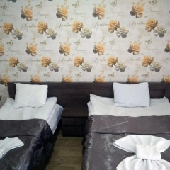 Hotel Mimino Стандартный номер с 2 отдельными кроватями