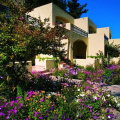 Amathus Beach Hotel Rhodes 5* Стандартный номер фото 10