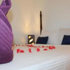 Hotel Villa kapuru удобства в номере фото 2