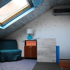 Хостел Varad INN Hostel and Cafe Нови Сад интерьер отеля
