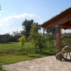 Отель Agriturismo Bassarì Италия, Реканати - отзывы, цены и фото номеров - забронировать отель Agriturismo Bassarì онлайн фото 13