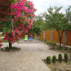 Отель Pid Zelyonym Dakhom Country House Берегово фото 4