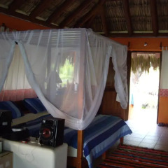 Отель Bungalows Tree Tops 5* Люкс с различными типами кроватей фото 5