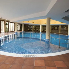 Отель Vihren Palace Ski & SPA бассейн