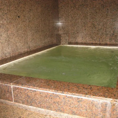 Отель Tokiwa Ryokan Никко бассейн