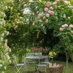 Отель Ca'Bevilacqua Bed&Breakfast Бертиноро фото 17