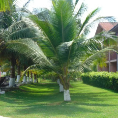 Отель Bojo Beach Resort фото 10