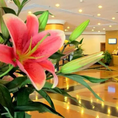 Sunway Hotel интерьер отеля фото 3