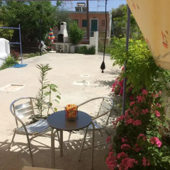 Отель Isidora Hotel Греция, Эгина - отзывы, цены и фото номеров - забронировать отель Isidora Hotel онлайн фото 5