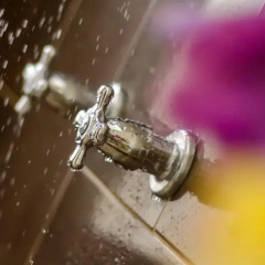 Отель Casa de las Flores Tropical Lodge Колумбия, Сан-Андрес - отзывы, цены и фото номеров - забронировать отель Casa de las Flores Tropical Lodge онлайн сауна