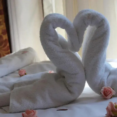 Ercan Inn Hotel с домашними животными