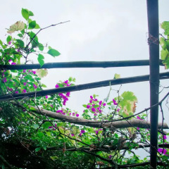Housheng Youth Hostel пляж
