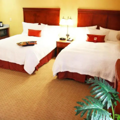 Отель Hampton Inn & Suites Los Angeles Burbank Airport 3* Студия фото 2