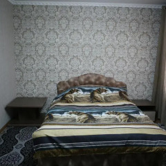 Отель Lions Hostel Кыргызстан, Бишкек - отзывы, цены и фото номеров - забронировать отель Lions Hostel онлайн комната для гостей фото 4