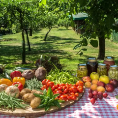 Отель Colli Berici Италия, Лимена - отзывы, цены и фото номеров - забронировать отель Colli Berici онлайн фото 2