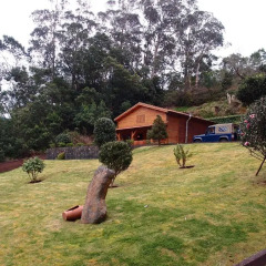 Отель Casa da Fonte da Velha с домашними животными