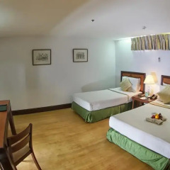 Rajah Park Hotel 3* Номер Делюкс с различными типами кроватей фото 6