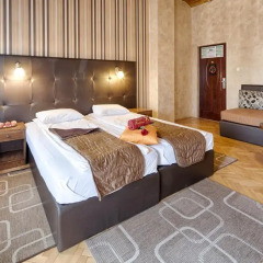 Fontana Hotel Нови Сад комната для гостей фото 2