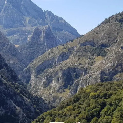Отель Casa Rural Pocotrigo