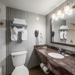 Отель Regency Suites Hotel Канада, Калгари - отзывы, цены и фото номеров - забронировать отель Regency Suites Hotel онлайн ванная фото 2