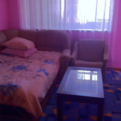 Гостиница Mini Hotel Aling в Сочи отзывы, цены и фото номеров - забронировать гостиницу Mini Hotel Aling онлайн комната для гостей фото 4