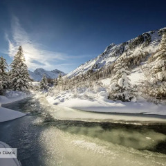 Отель Grischa - DAS Hotel Davos Швейцария, Давос - отзывы, цены и фото номеров - забронировать отель Grischa - DAS Hotel Davos онлайн спортивное сооружение