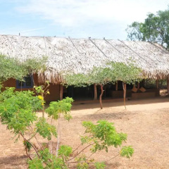 Отель Back of Beyond - Safari Lodge Yala 3* Бунгало с различными типами кроватей фото 19