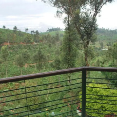 Отель Ranmal Tea Plantation Bungalow 2* Стандартный номер с различными типами кроватей фото 7