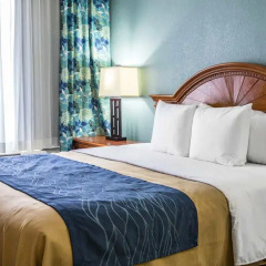 Отель Comfort Inn On the Ocean 3* Стандартный номер с различными типами кроватей фото 6