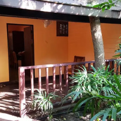 Отель Birds & Bees Resort 3* Стандартный номер с 2 отдельными кроватями