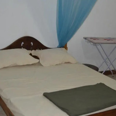 Отель Green Valley Holiday Inn 3* Номер категории Эконом с различными типами кроватей