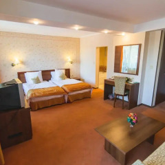 SPA Hotel Borova Gora 4* Стандартный номер с двуспальной кроватью фото 3