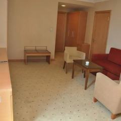 Gaziantep Plaza Hotel 4* Стандартный номер с различными типами кроватей фото 2