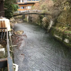 Отель Sujiyu Onsen Daikokuya Япония, Минамиогуни - отзывы, цены и фото номеров - забронировать отель Sujiyu Onsen Daikokuya онлайн приотельная территория фото 2