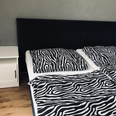 Hostel Octopus Gdańsk комната для гостей фото 3