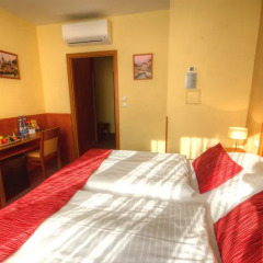Wellness Hotel Step 4* Номер Делюкс с разными типами кроватей фото 2
